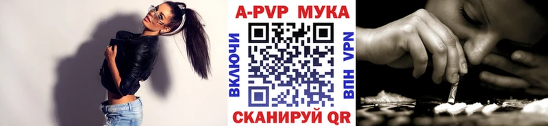 А ПВП СК  OMG маркетплейс  Тайга 